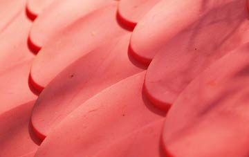 Fleet plastic roof costs